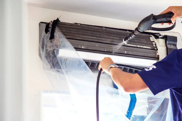 Best Affordable Duct Cleaning Services  in Roma, TX
