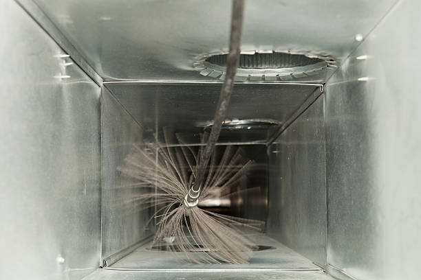 Best HVAC Duct Inspection Services  in Roma, TX