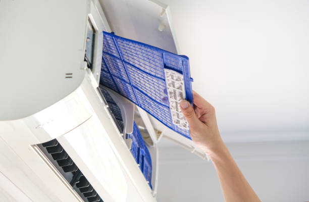 Best Commercial Air Duct Cleaning  in Roma, TX
