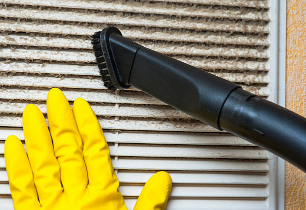 Best Emergency Air Duct Cleaning  in Roma, TX