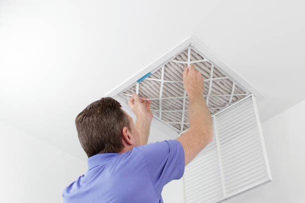 Best HVAC Air Duct Cleaning  in Roma, TX